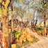 royale marlothi safari lodge