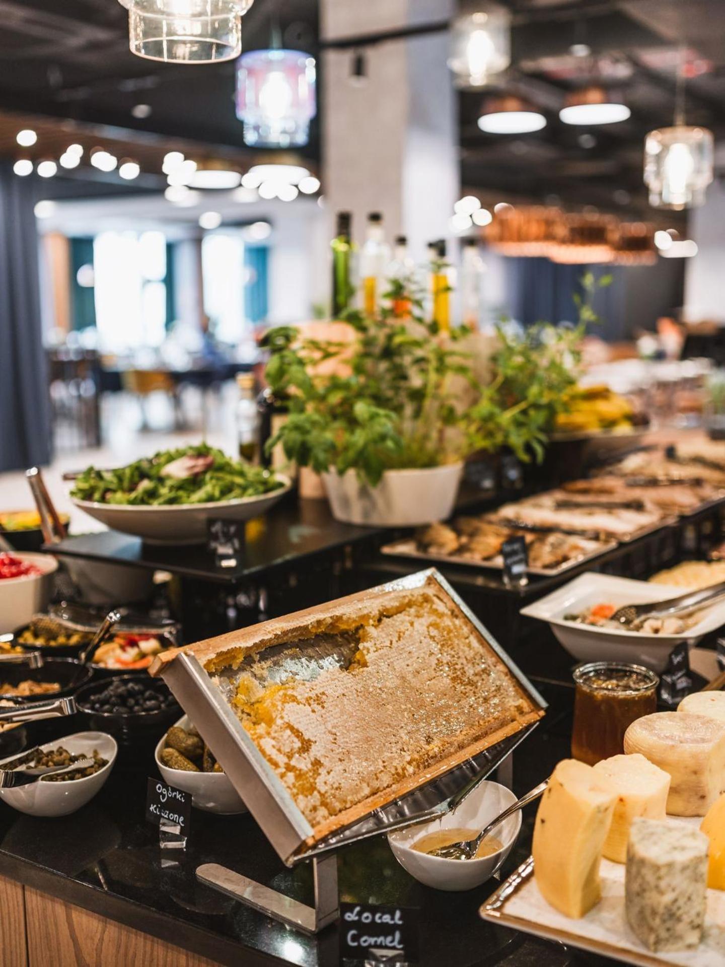 hotel bergo resort and spa