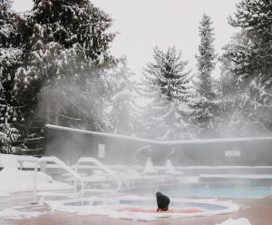 whistler