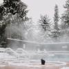 whistler