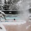 whistler