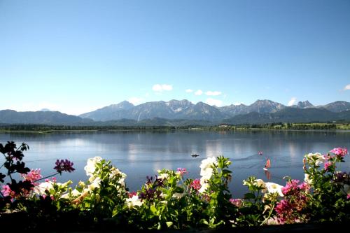 seehotel hartung