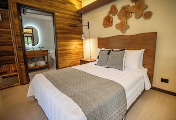 buena vista del rincon eco adventure park hotel and spa