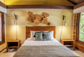 buena vista del rincon eco adventure park hotel and spa