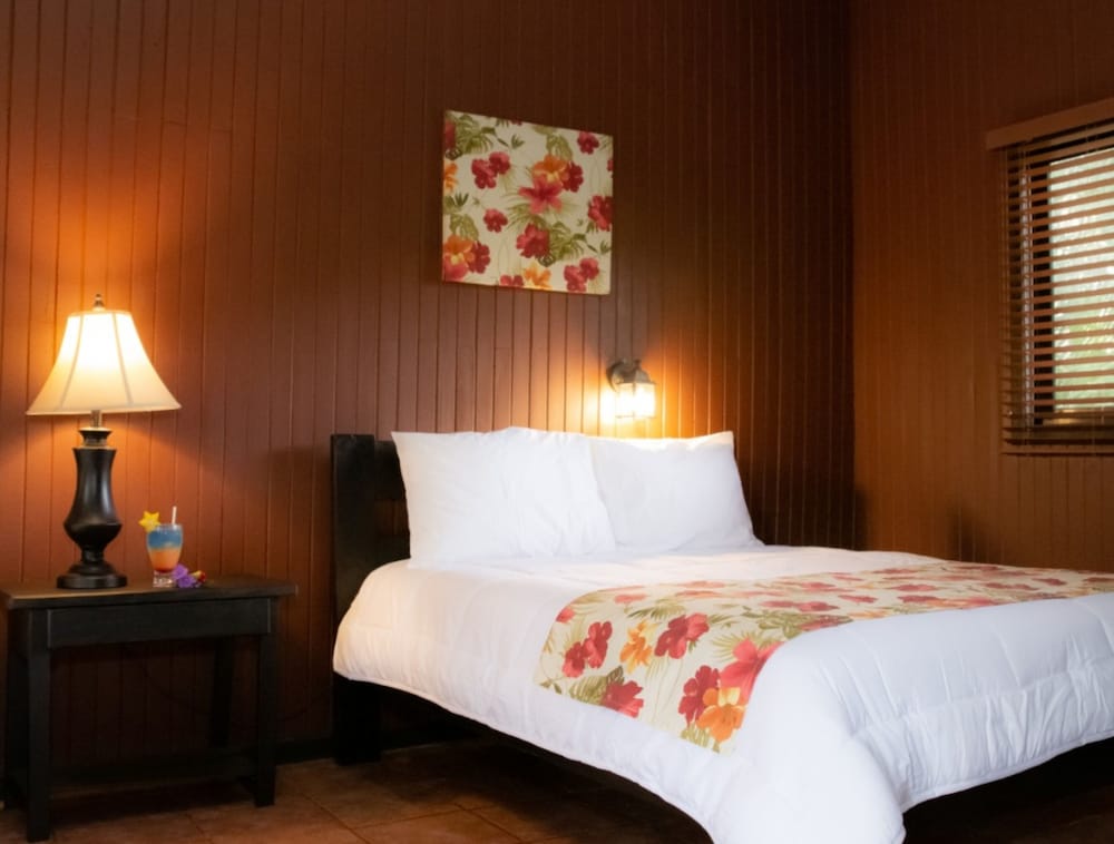 buena vista del rincon eco adventure park hotel and spa