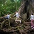 canas dulces costa rica