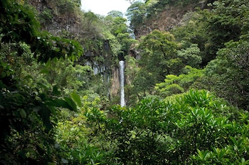canas dulces costa rica