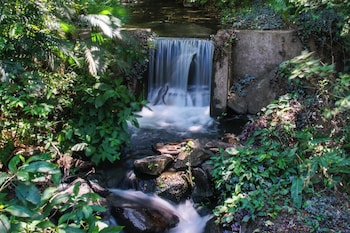 canas dulces costa rica