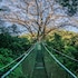 buena vista del rincon eco adventure park hotel and spa
