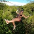 buena vista del rincon eco adventure park hotel and spa