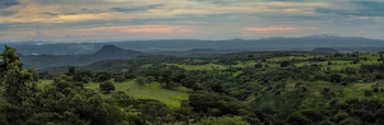 canas dulces costa rica