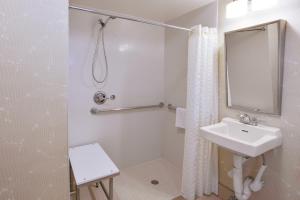 the hotel fifth avenue