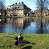 wardshuset gammel tammen