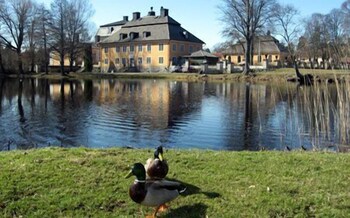 wardshuset gammel tammen