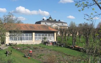 wardshuset gammel tammen