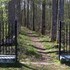 wardshuset gammel tammen