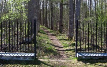 wardshuset gammel tammen