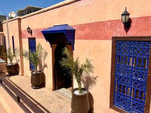 riad sassa finda