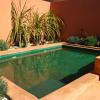 riad sassa finda