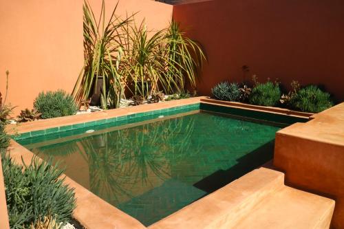 riad sassa finda