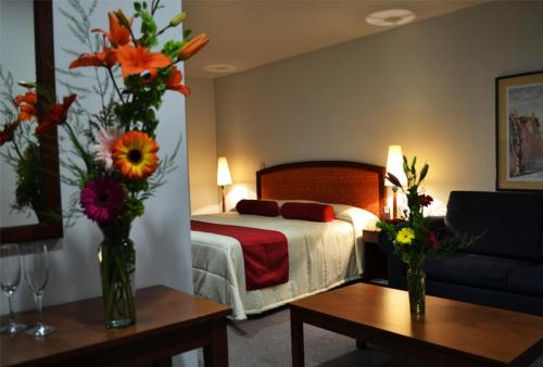 hotel mediterraneo