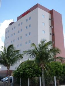 ibis petrolina
