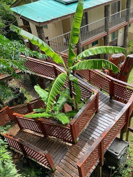 hare rapa nui by chez joseph