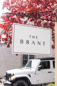 the brant