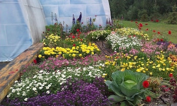 fairbanks