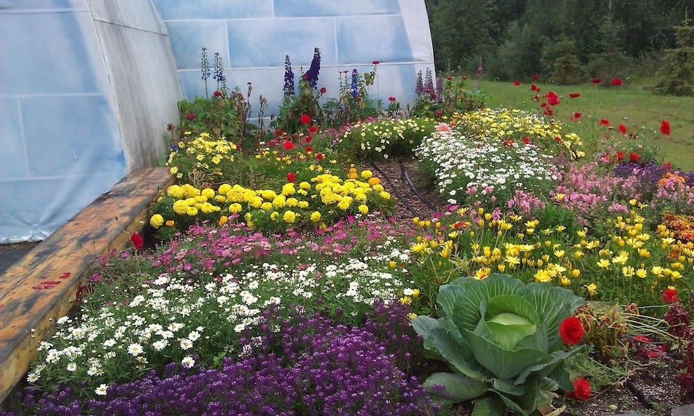 fairbanks