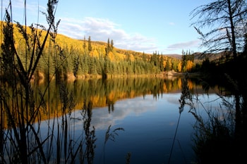 fairbanks