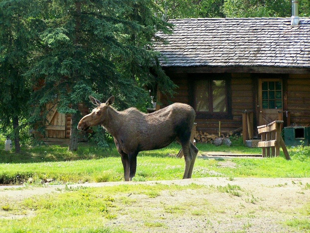 fairbanks