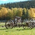 fairbanks