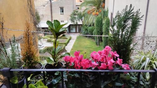 ottantotto viterbo