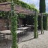 verona