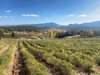 la vie en rose otel by sogutdagi