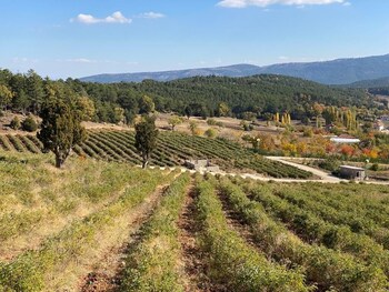 la vie en rose otel by sogutdagi