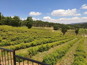 la vie en rose otel by sogutdagi