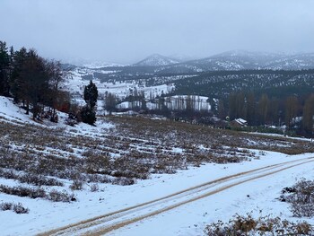 la vie en rose otel by sogutdagi