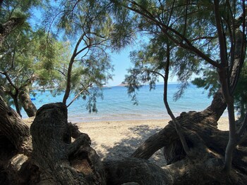 bodrum