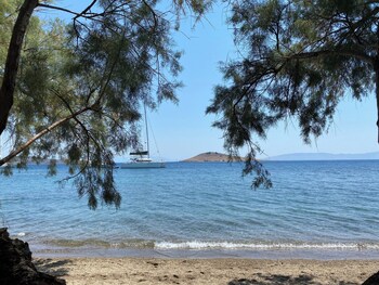 bodrum
