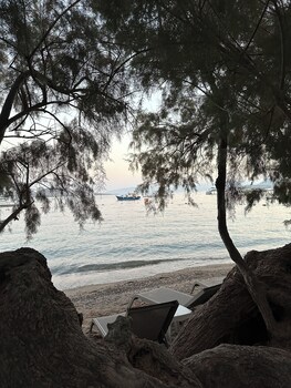 bodrum