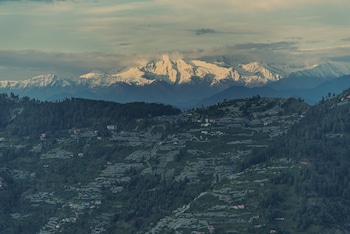 echor backwoods villa narkanda