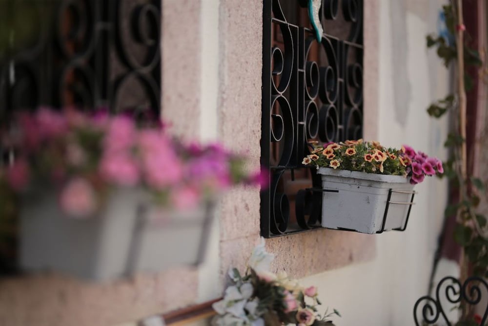 ayvalik palacitta guesthouse