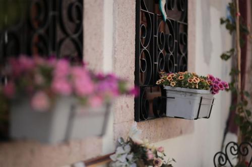 ayvalik palacitta guesthouse