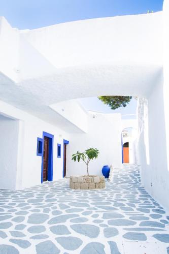 afiartis