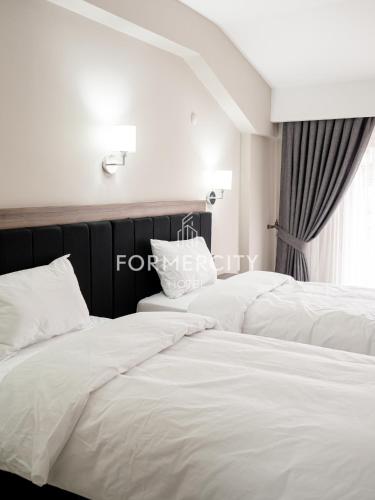 formercity termal hotel