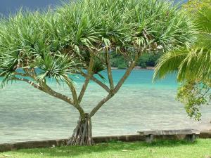 pacific lagoon apartments