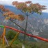 aratoca