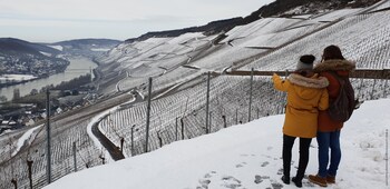 jufa bernkastel kues